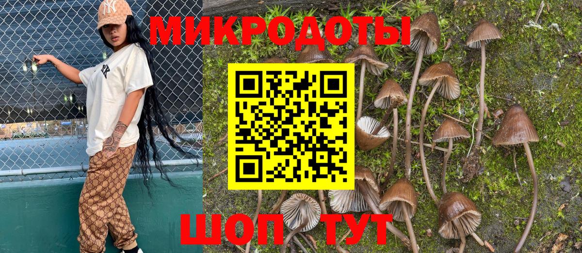 Истра  Галлюциногенные грибы Psilocybine cubensis  Вход с VPN 